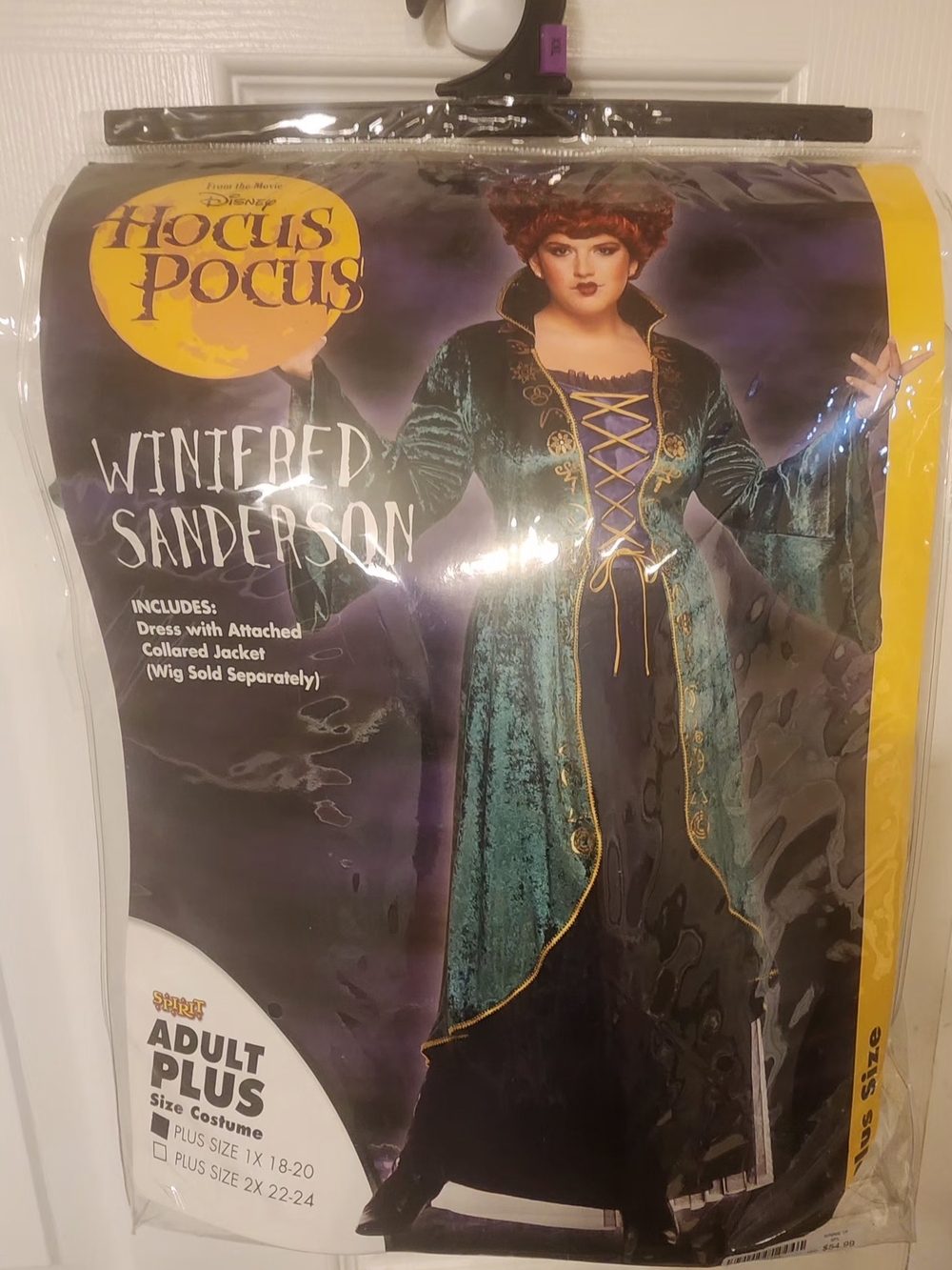 Disney Hocus Pocus Winifred Sanderson Green and Gold Velvet Witch Costume